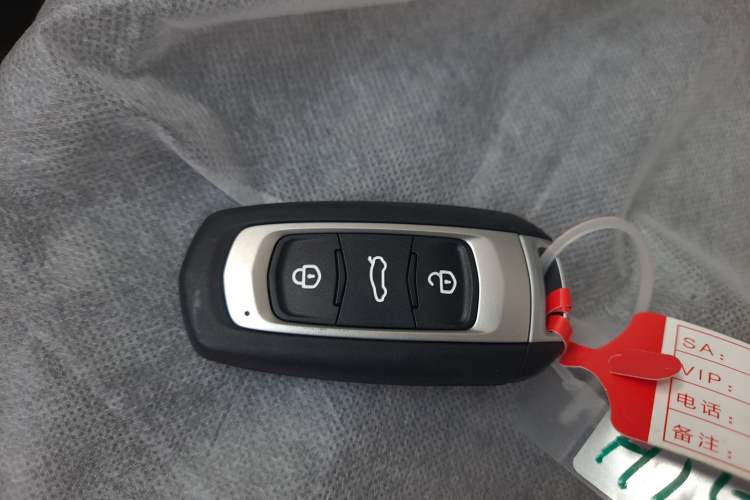 Used Geely Galaxy Panda 2024 Panda Mini 200km Endurance Bear Vehicle Key