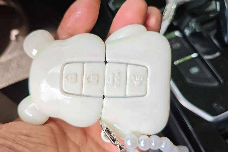 Used Venucia D60EV 2019 High-Range Deluxe Edition