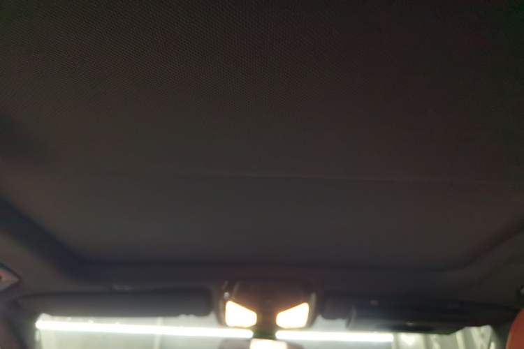 Used BMW 5 Series 2020 530Li Leading Model M Sport Package Headliner