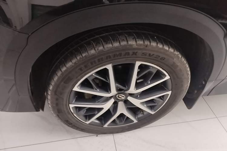 Used GAC Trumpchi GS8 2022 Linghang Series 2.0 TGDI Two-Wheel-Drive Luxury Smart Connectivity Version (7 Seats)