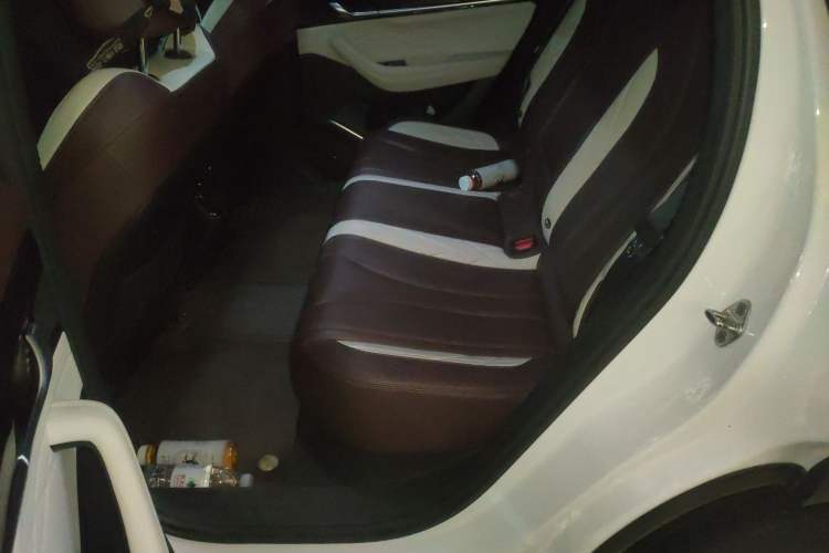 Used Geely Auto Monjaro L 2021 2.0TD DCT EVO Two-Wheel-Drive Flagship Version Left Rear Seat