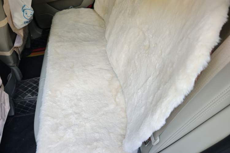 Used BAIC Senova D50 2014 1.5L manual comfort version Left Rear Seat