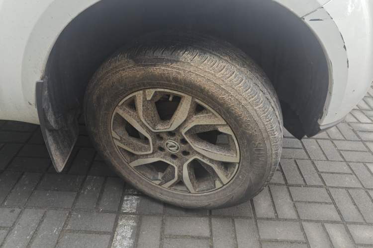 Used Dongfeng Palazzo 2022 2.0T Automatic All-Wheel Drive Zunya Trim