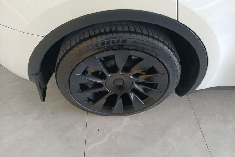 Used Tesla Model Y 2023 Rear-Wheel-Drive Version Exterior 5