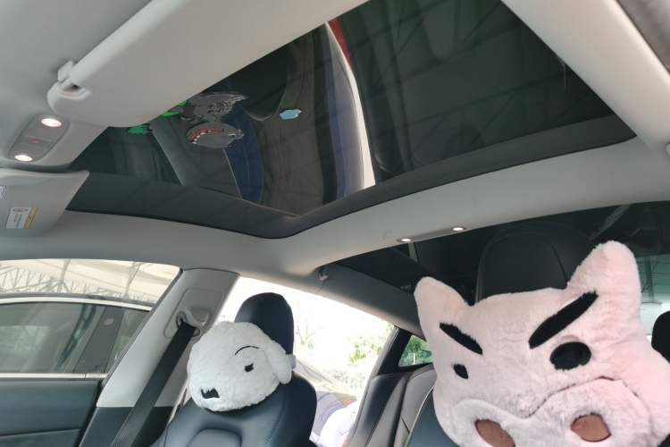 Used Tesla Model 3 2021 Standard Range Rear-Drive Upgraded Version
