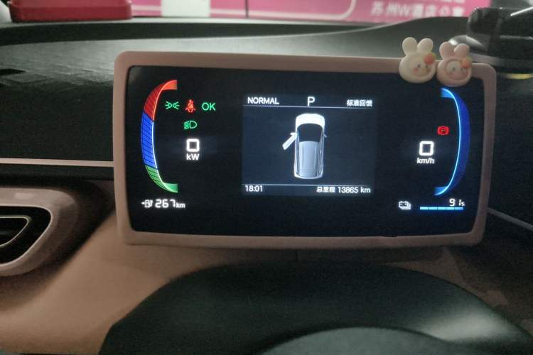 Used BYD Seagull 2025 305 km Free Version
