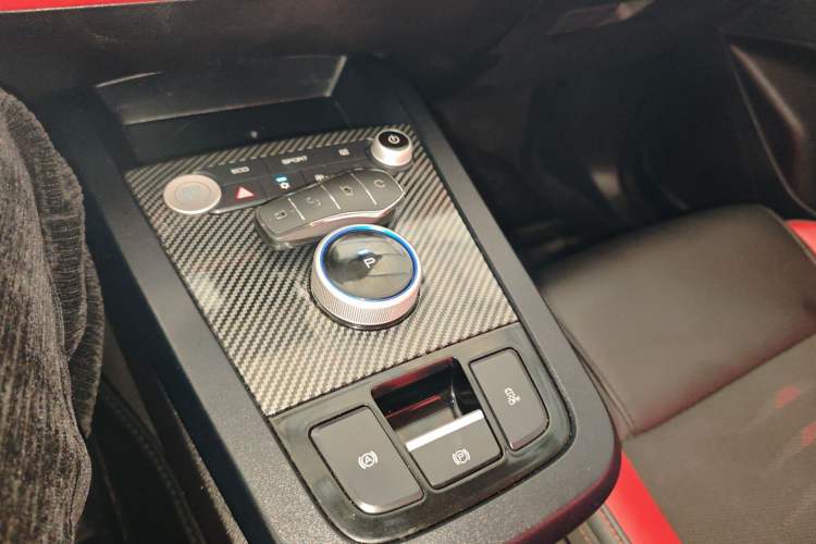 Used BYD e2 2020 Upgraded Version Long-Range Edition Luxury Model Gear Lever