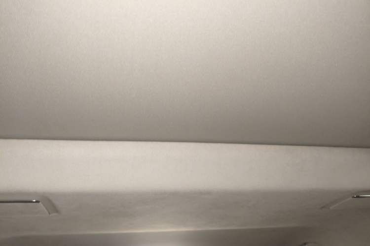 Used Hongqi HQ9 2023 2.0T Smart Connect Flagship Edition Headliner