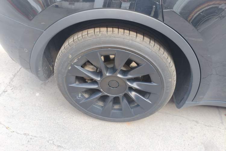 Used Tesla Model Y 2022 Rear-Wheel-Drive Version Exterior 5