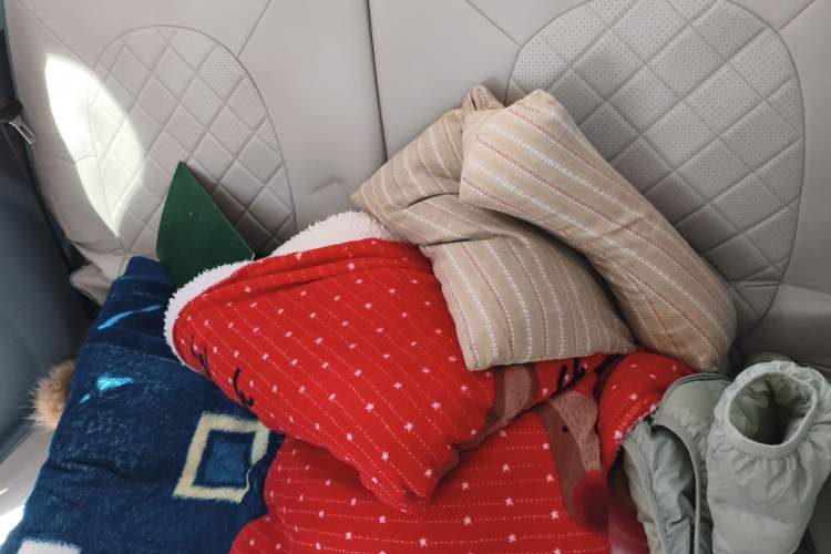 Used Bestune Pony 2025 222km Clever Horse Left Rear Seat