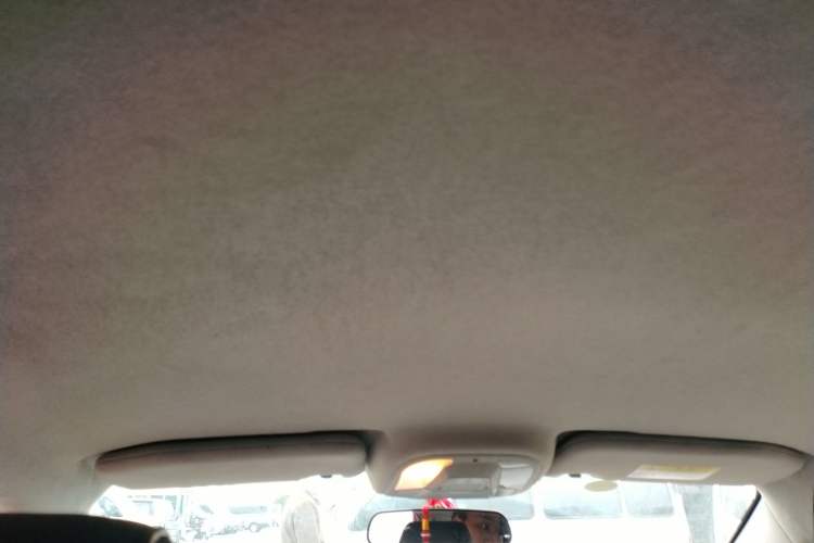 Used BYD Yuan Pro 2021 401 km Luxury Version Headliner