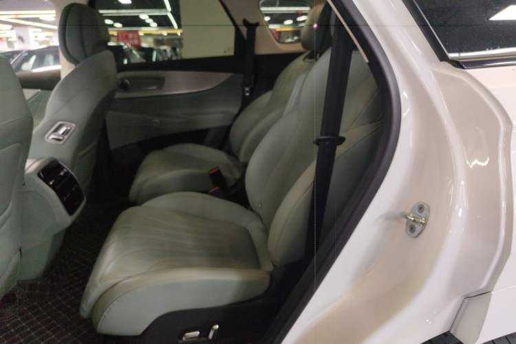 Used Chery Fengyun T10 2024 210 Luxury Edition
