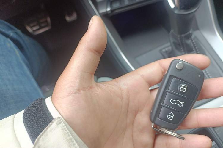 Used Audi Q3 2022 40 TFSI Fashion Dynamic Model