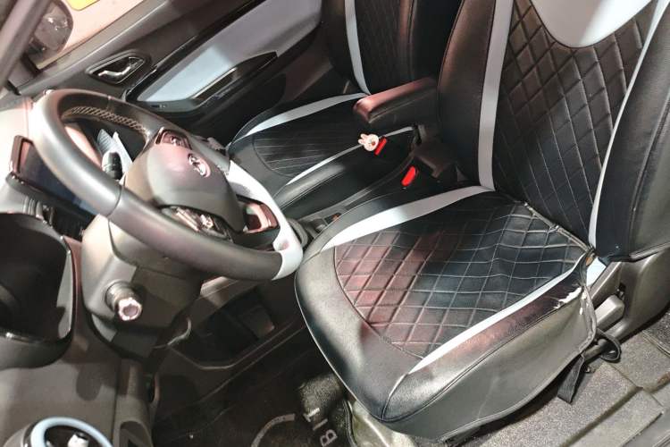 Used Chery Little Ant 2023 251km True Love Edition Lithium Iron Phosphate