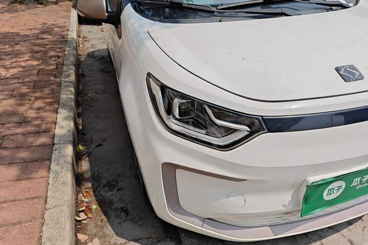 Used SOL E10X 2022 Flower Fairy Design Four-Leaf Clover