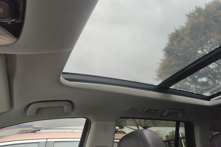 Used GAC Trumpchi GS8 2017 320T Two-Wheel Drive Luxury Smart Connectivity Version (7 Seats) Headliner