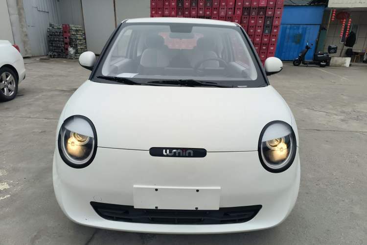 Used Qiyuan Lumin 2023 205km Xiangqin Version
