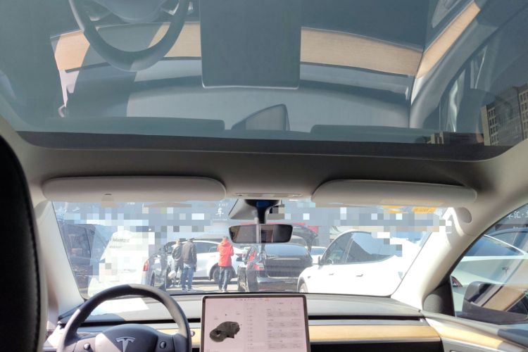 Used Tesla Model Y 2021 Long-Range All-Wheel-Drive Version Headliner