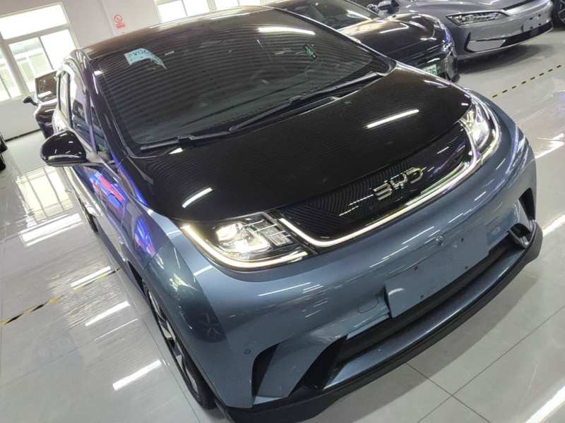 Used BYD Dolphin 2025 520km Range Knight Edition — 3