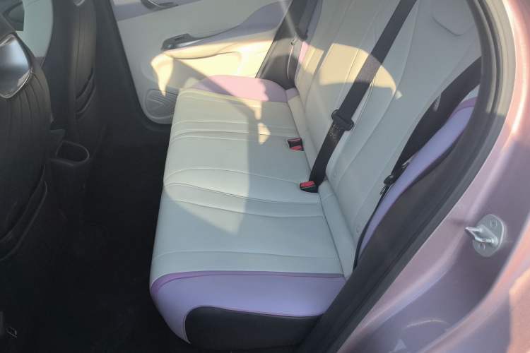 Used BYD Dolphin 2021 401km Knight Edition
