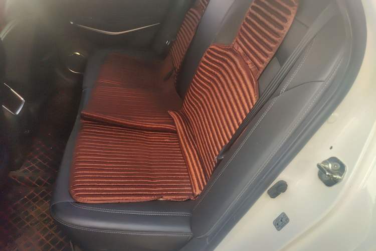 Used CHANGAN Ruicheng CC 2021 Blue Whale Edition 1.5T DCT Elite Model Left Rear Seat