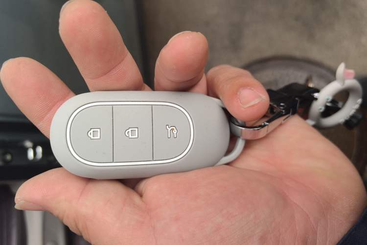 Used Leapmotor C11 2023 Range-Extended 180 Comfort Edition