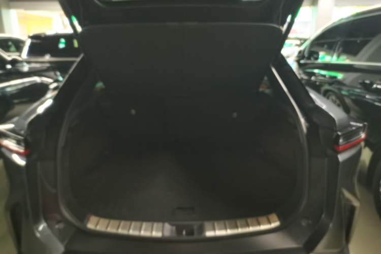 Used Lexus RZ 2023 300e Long-Range Indulgence Edition