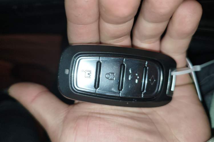 Used Tank 300 2024 2.0T Challenger
