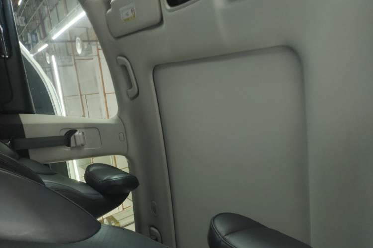 Used Leapmotor C11 2021 Luxury Edition Headliner