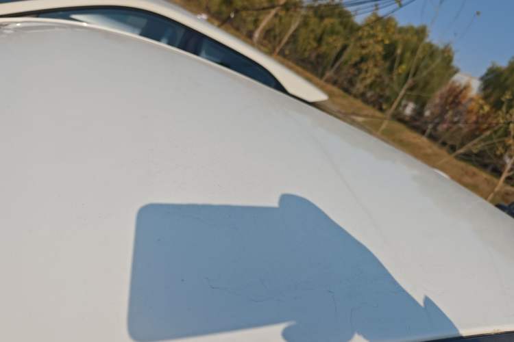 Used ORA Black Cat 2022 301km "Cute & Dynamic" Phosphate Iron Lithium
