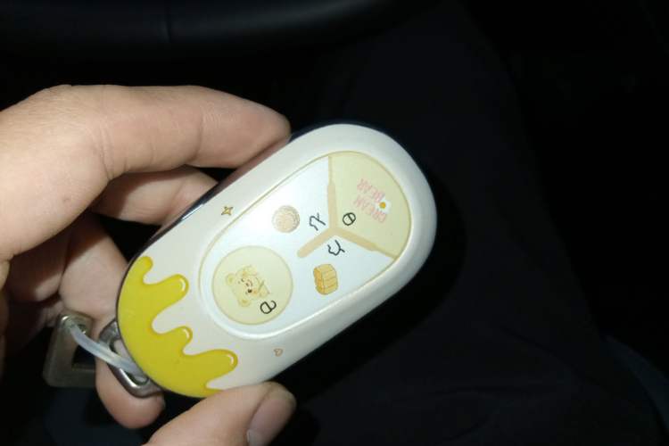 Used Geely Galaxy Geome 2025 310km Youth Edition