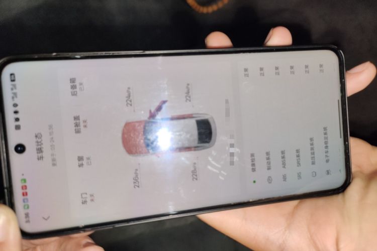 Used BYD Dolphin 2023 420 km Fashion Edition Vehicle Key