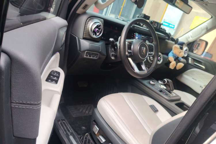 Used Tank 300 New Energy 2024 Hi4-T