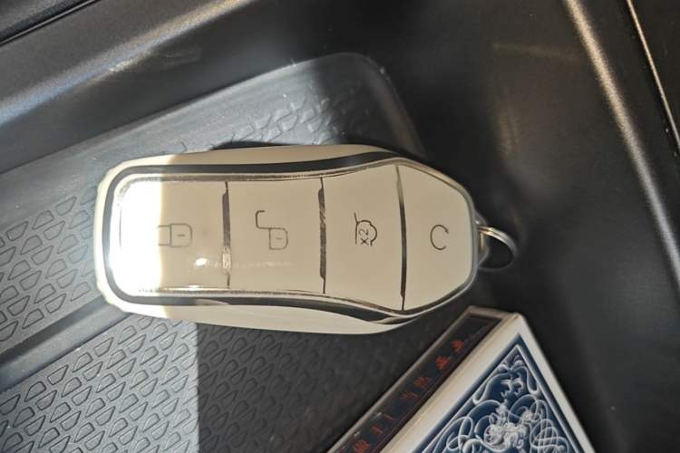 Used BYD Yuan UP 2024 401KM Leading Edition
