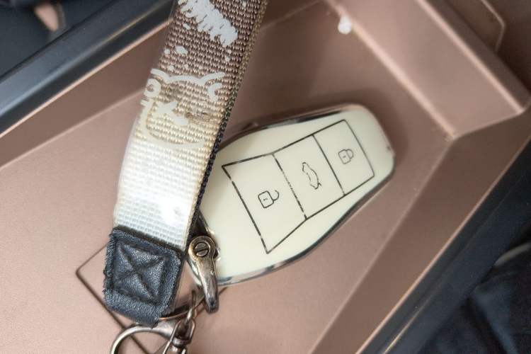 Used SOL E10X 2021 302 km Range Fashion Edition 31.4 kWh