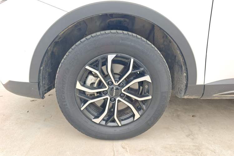 Used Haval H6 2021 National Trend Edition 1.5T Automatic Urban Version