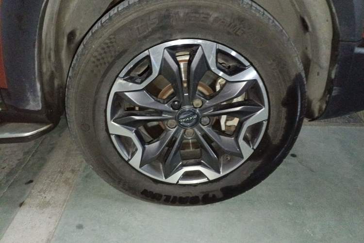 Used Haval DARGO 2021 2.0T DCT 4x4 Chinese Rural Dog Edition
