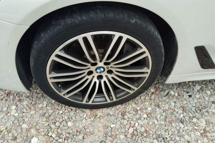 Used BMW 5 Series 2019 530Li Leading Model M Sport Package Exterior 4