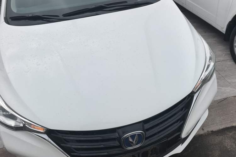 Used Changan Alsvin 2019 1.5L DCT Comfort Model China VI Standard
