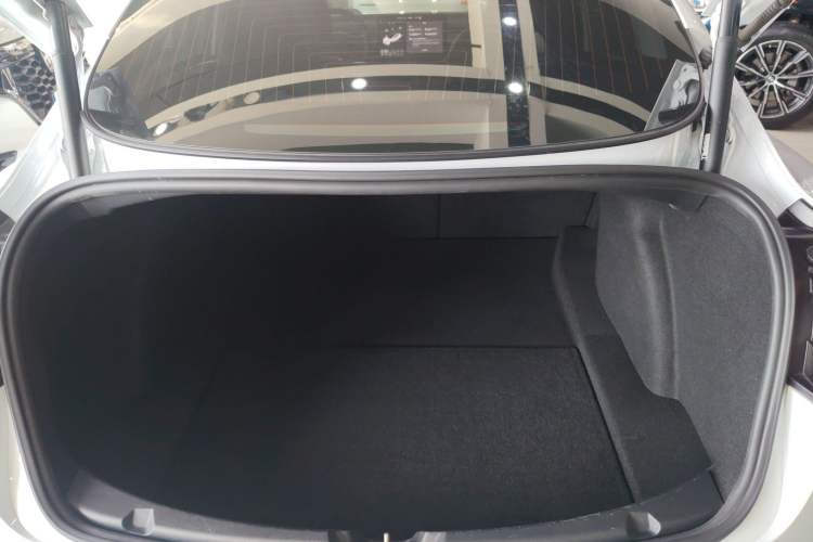 Used Tesla Model 3 2020 Revised Version Standard Range Rear-Wheel Drive – Upgraded Edition