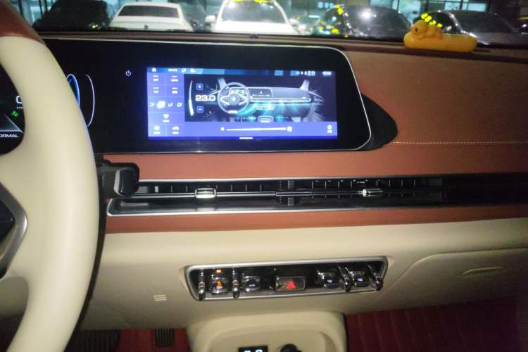 Used ORA Good Cat 2022 400km Standard Range Luxury Version Lithium Iron Phosphate
