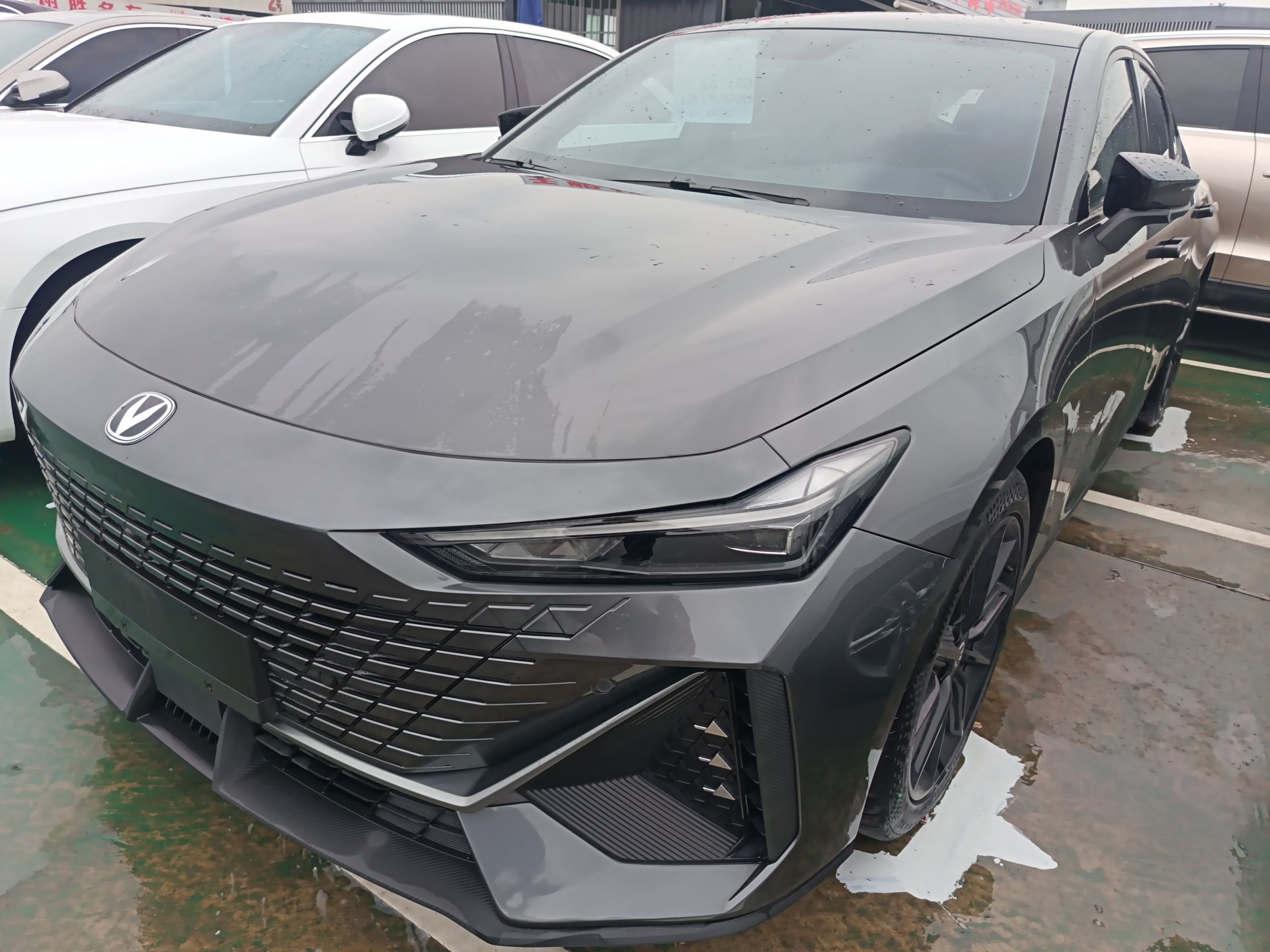 Parte inferior delantera