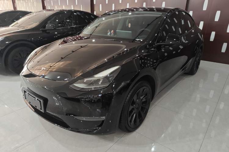 Used Tesla Model Y 2021 Standard Range Rear-Wheel Drive Version