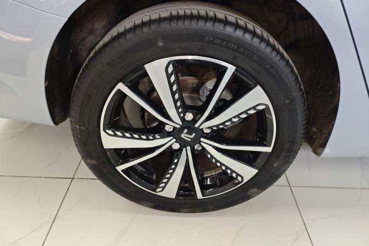 Used Rising ER6 2021 New Dynamic Edition 620km Smart Drive Version
