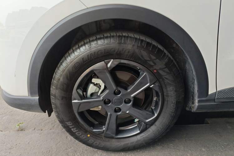 Used Geometry E Firefly 2024 301km Starlight Left Front Wheel Hub