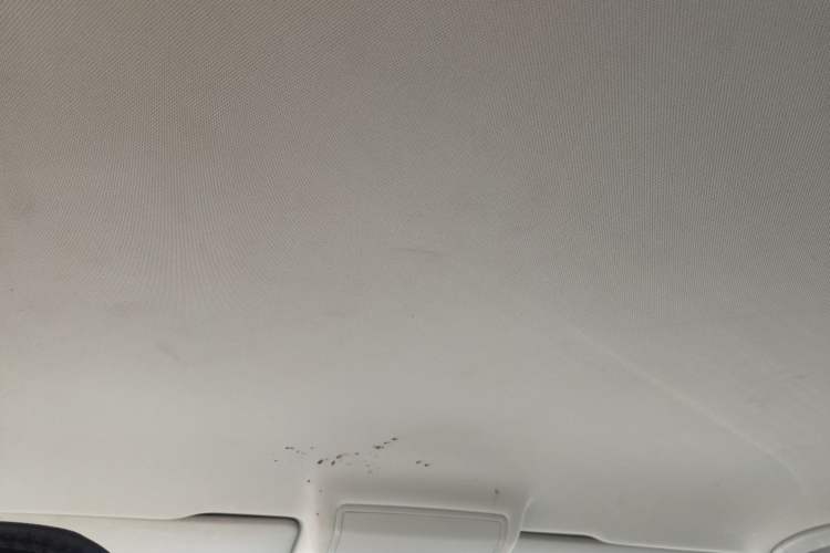 Used Volkswagen Tiguan L 2017 330TSI Automatic Two-Wheel Drive Comfort Edition Headliner