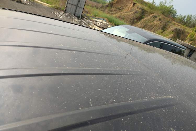 Used Hongqi HQ9 PHEV 2024 2.0T Four-Wheel Drive Business Edition