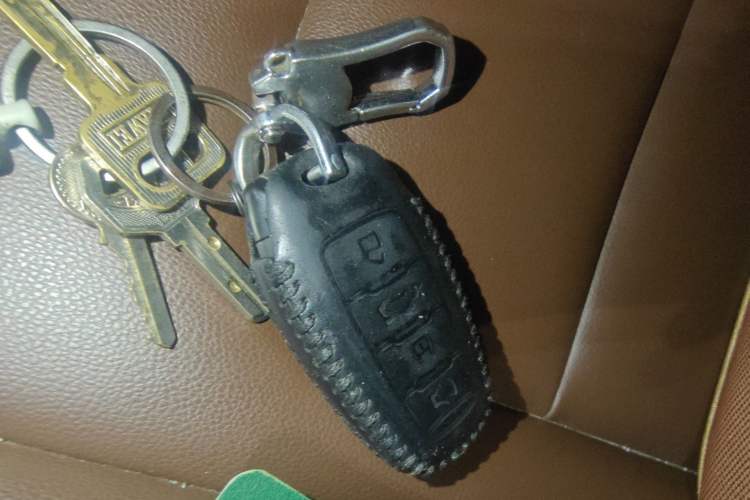 Used Haval H6 2018 Blue-Label 1.5T Automatic Luxury Model Interior 1