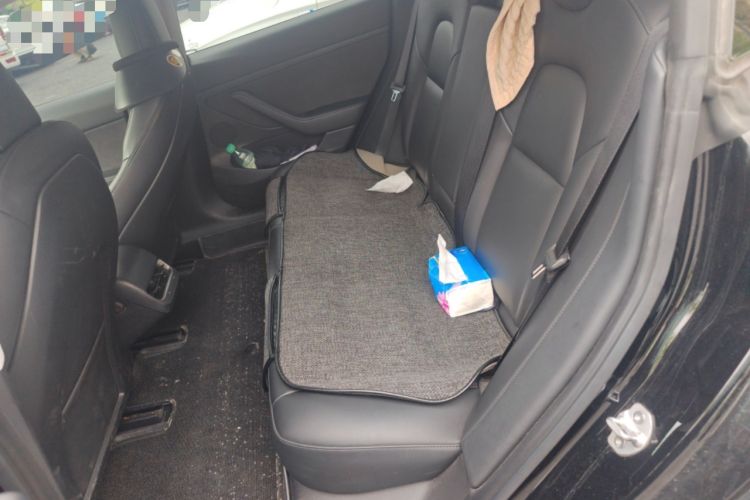 Used Tesla Model 3 2021 Revised Version Standard Range Rear-Wheel Drive Upgraded Edition 3D1