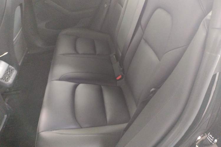 Used Tesla Model 3 2022 Rear-Wheel-Drive Version Left Rear Seat